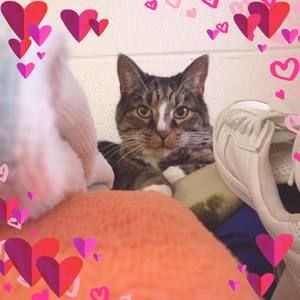 Meet your Posher, Taryn